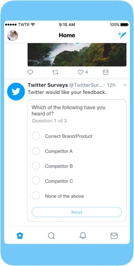 Brand Survey tweet2